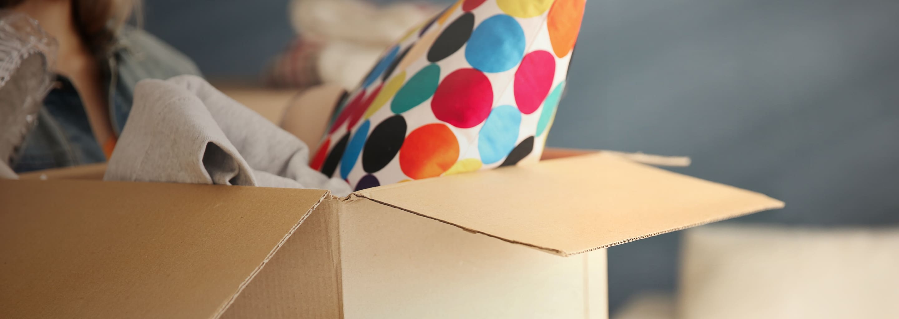 spotty cushion in box