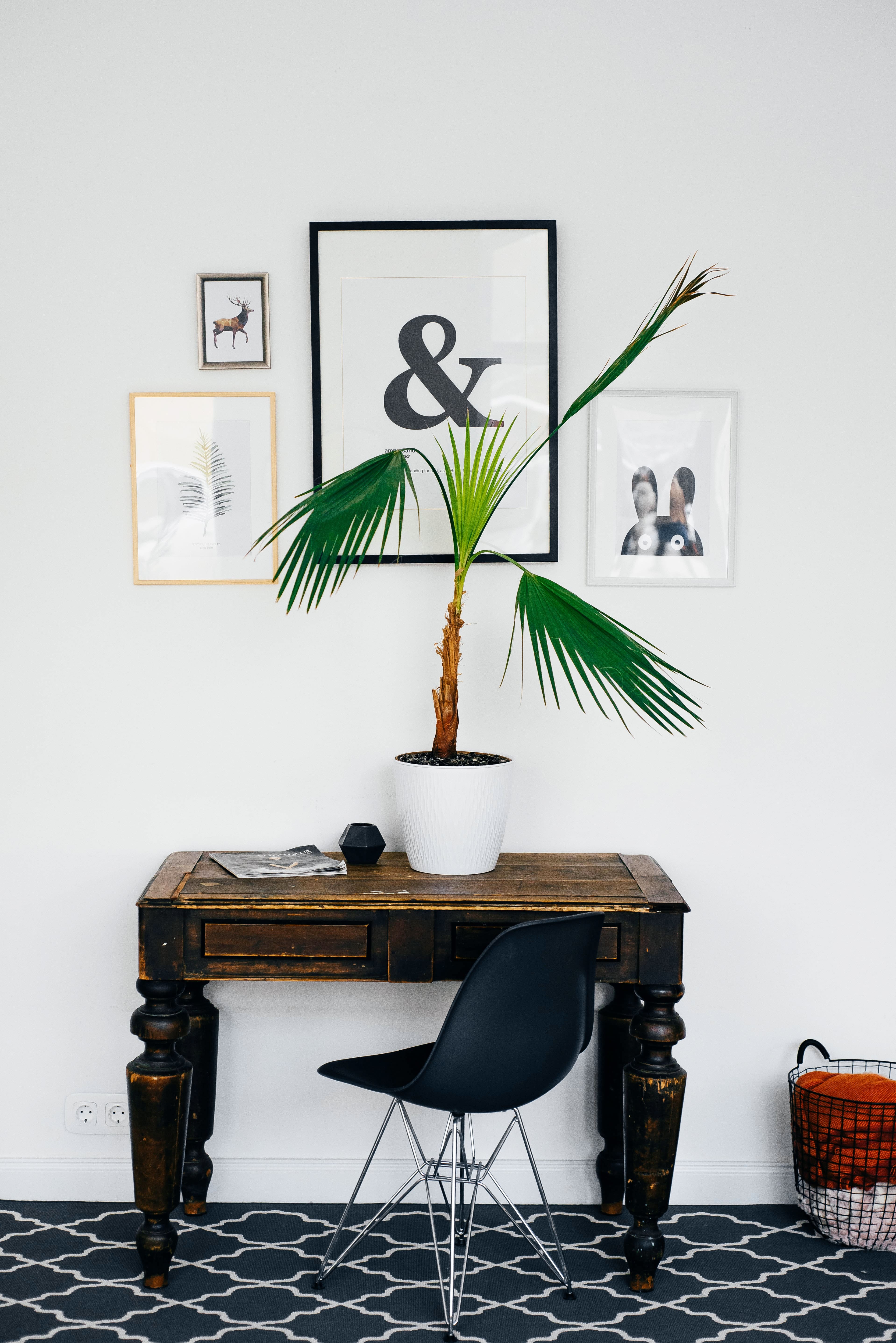 a potted plant on a table