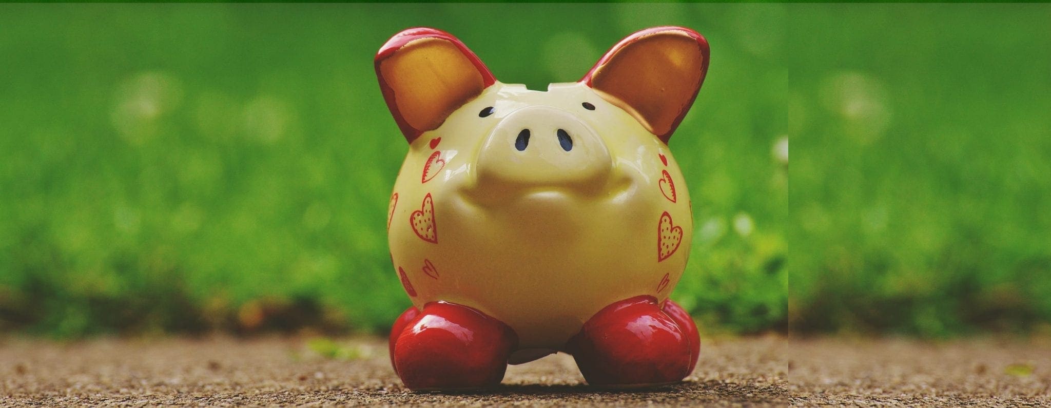 yellow piggy bank